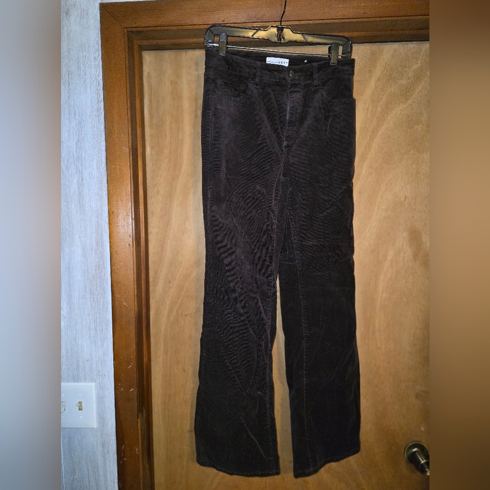 Dark brown Corduroy Pants